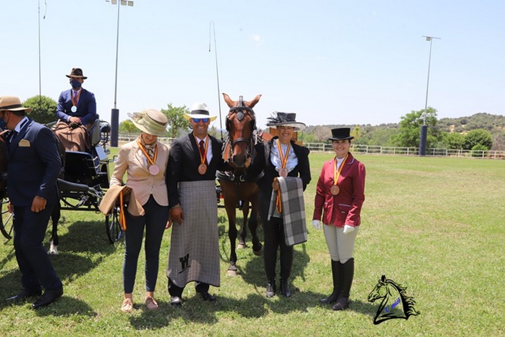 Triple podio Navarro en el Campeonato de España de Enganches